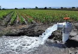 Proponen Universidad Indígena del Agua en la Región del Mayo