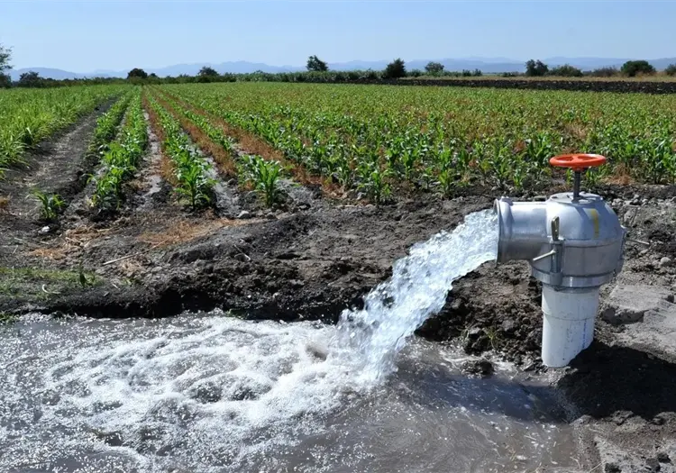 Proponen Universidad Indígena del Agua en la Región del Mayo