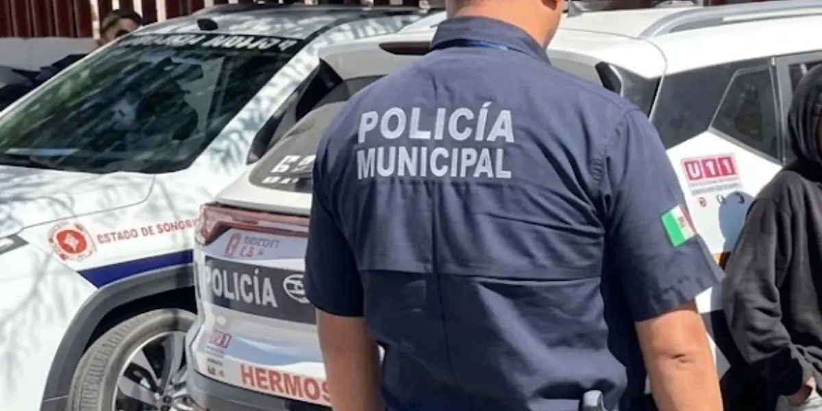 El aseguramiento ocurrió la tarde del miércoles en el fraccionamiento Puerta del Rey, donde autoridades atendieron el reporte.