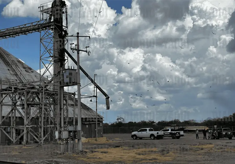 Sufre mortal caída al trabajar en molino