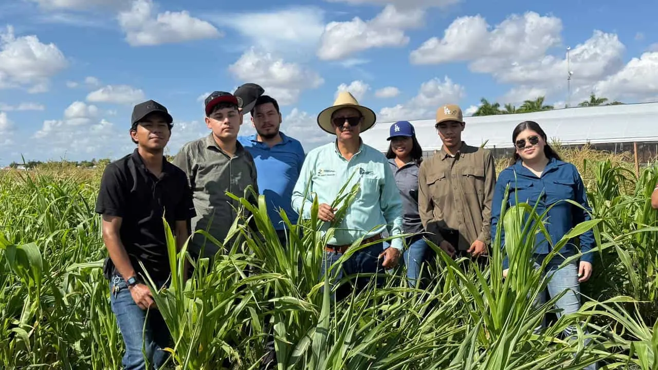 Estudiantes realizan prácticas en campo como parte de la innovación agrícola frente al cambio climático (Créditos: Gilberto Rodríguez Pérez)