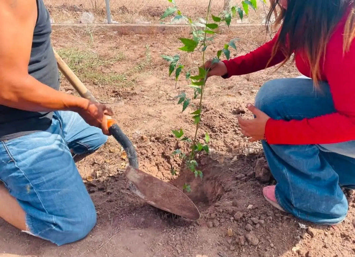 Promoverán nuevas acciones de reforestación y conservación ambiental en Etchojoa