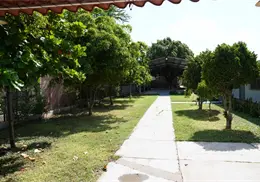 CAM 52 pide apoyo para poda de árboles