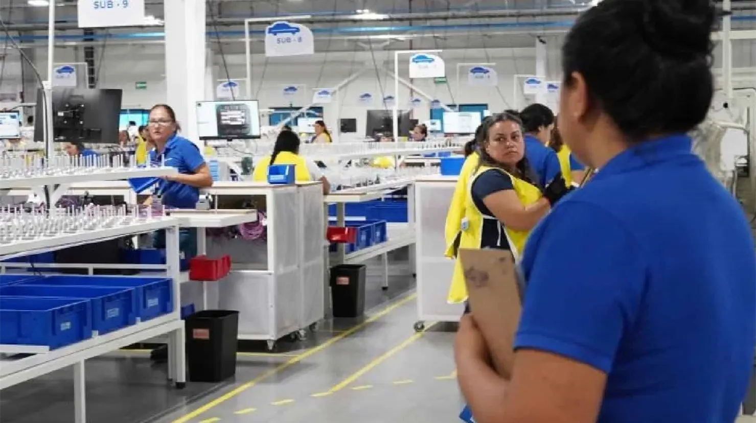 Empleador de la empresa Kyungshin realizan labores FOTO: DIARIO DEL YAQUI