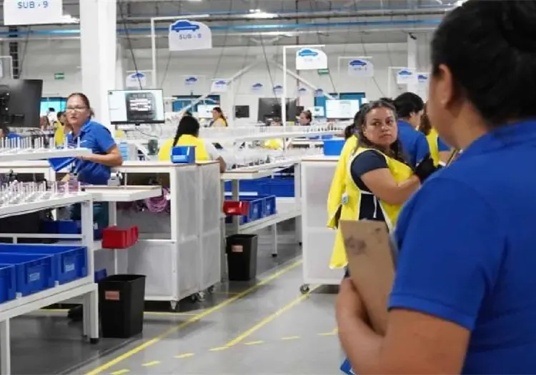 Convoca Ayuntamiento de Cajeme a aprovechar  Feria del Empleo 