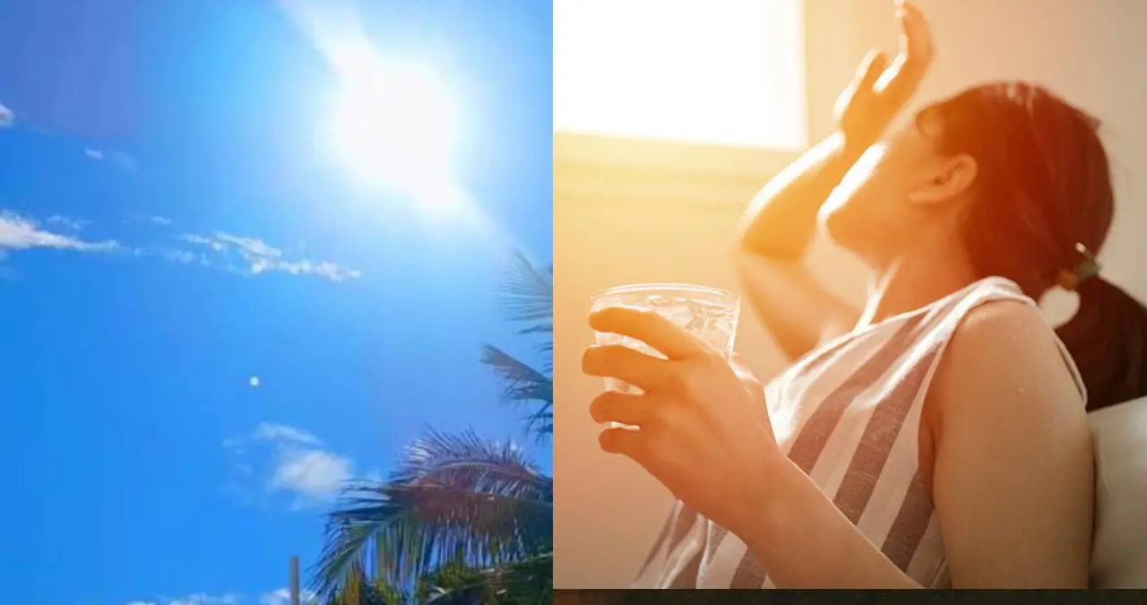 El clima actual en Ciudad Obregón es soleado con 26 °C. Foto: Internet