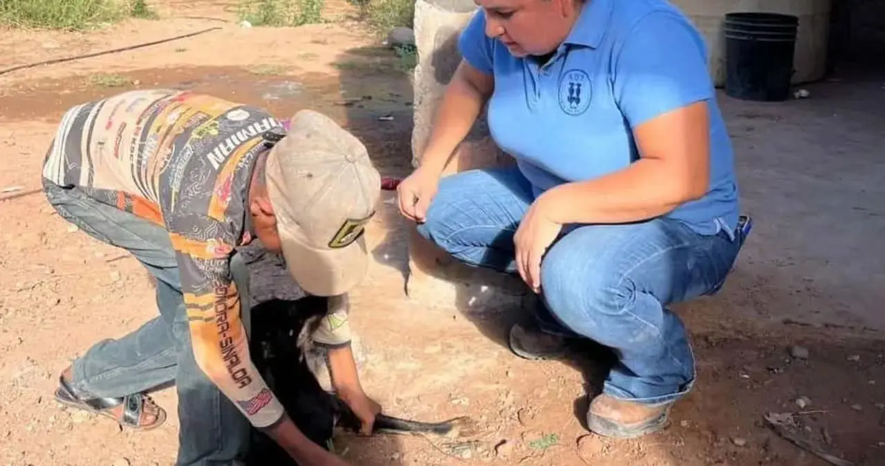 Se buscará llevar más servicios al área rural. Foto: Édgar Coronado