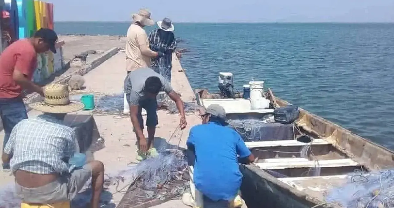 La temporada del oro rosado ha sido negativa para pescadores ribereños. Foto: Raúl Armenta