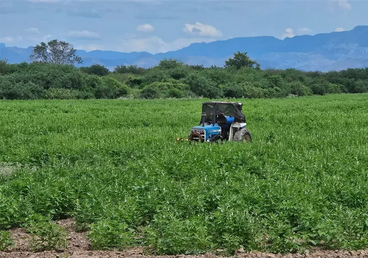 Difícil panorama para el sur de Sonora