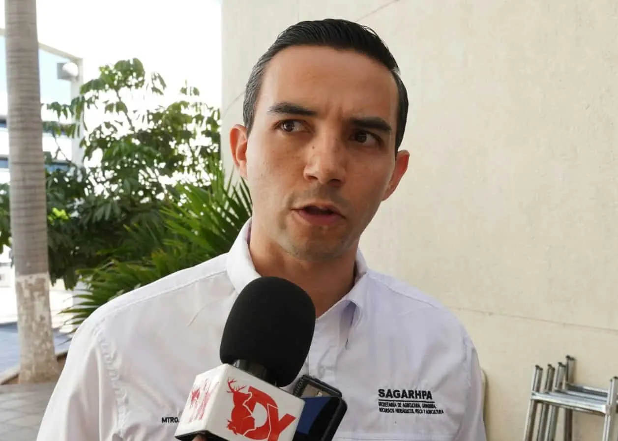 Juan González Alvarado, titular de Sagarhpa. Foto: Diario del Yaqui