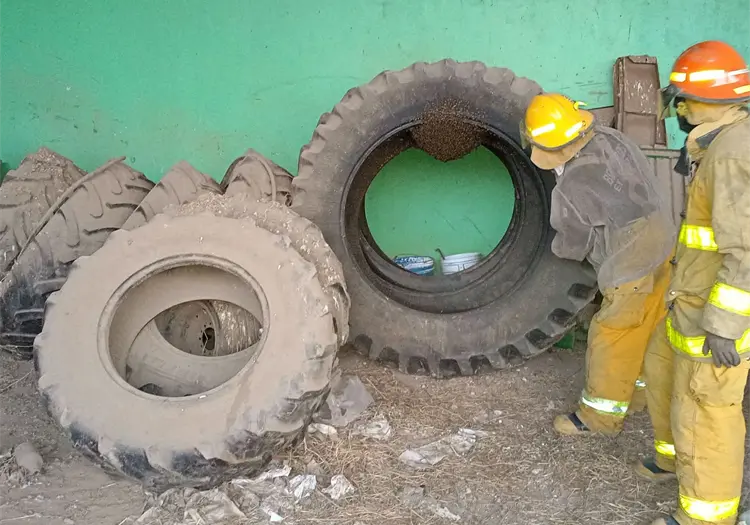 Abejas acaparan el 70% de los servicios de Bomberos en Etchojoa