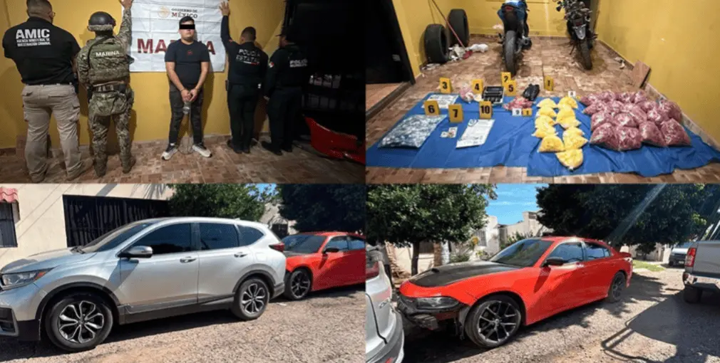 El material incautado y el joven detenido quedaron a disposición del Ministerio Público. Foto: FGJE Sonora