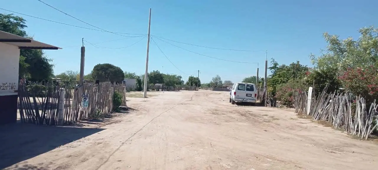Tras las lluvias del huracán Polo, aumentaron los moscos en muchas comunidades. Foto: Cortesía