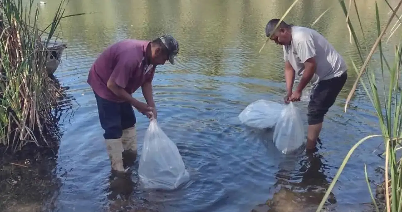 Pescadores esperan más apoyo del Gobierno Federal para salir adelante. Foto: Cortesía