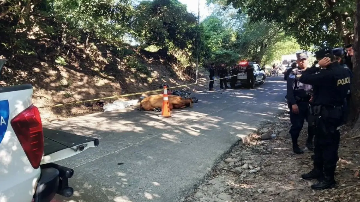 El accidente ocurrió en una vía de Tapalhuaca, La Paz Oeste, donde el conductor y el animal perdieron la vida tras el impacto FUENTES: X