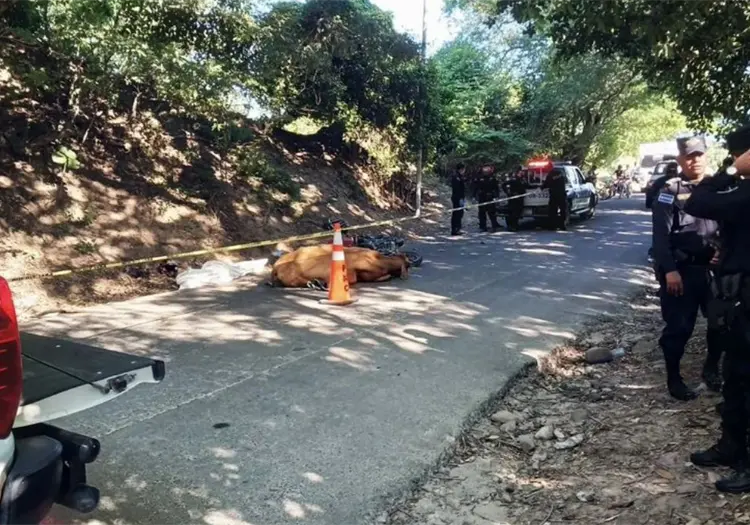 Motociclista muere tras chocar contra una vaca en carretera de El Salvador