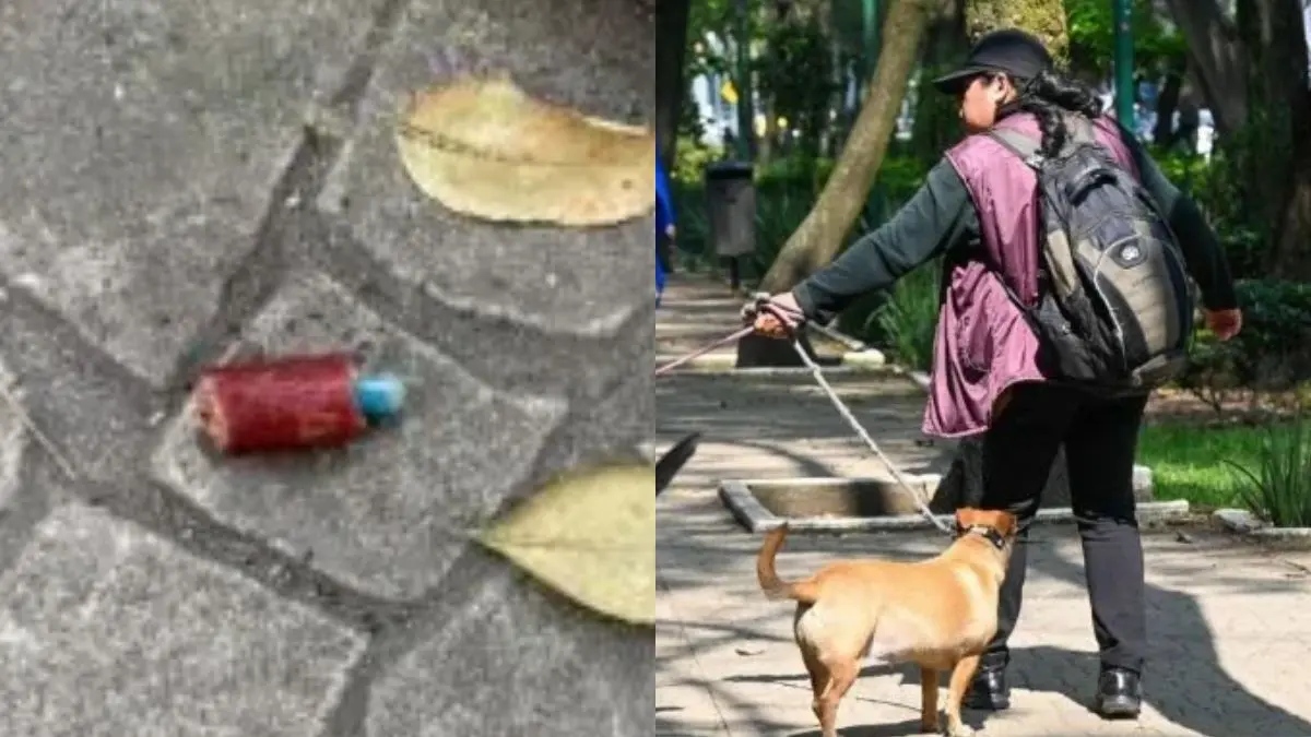 Peritajes confirmaron la presencia de metomilo en 14 cebos de carne; cuatro perros fueron afectados y dos murieron FUENTES: X