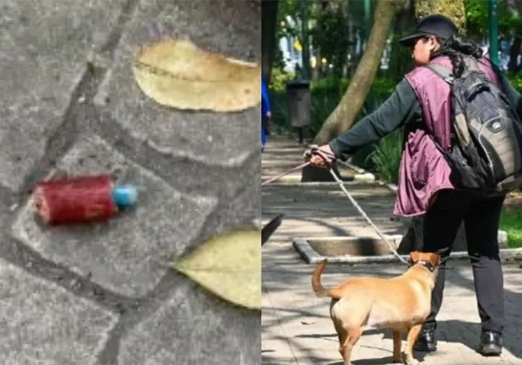 Fiscalía identifica pesticida utilizado para envenenar perros en Parque España